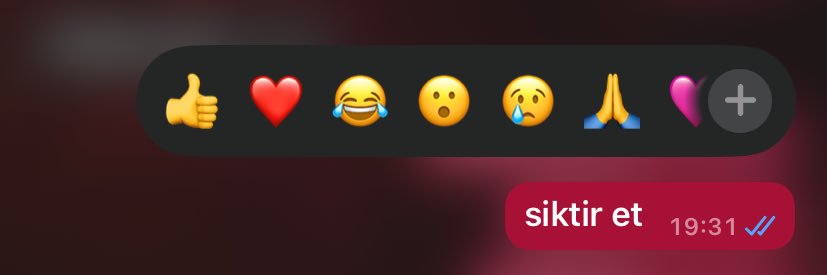 shr ⋆˙⟡ banner