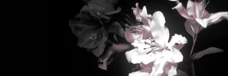 wiatcrph's profile banner image