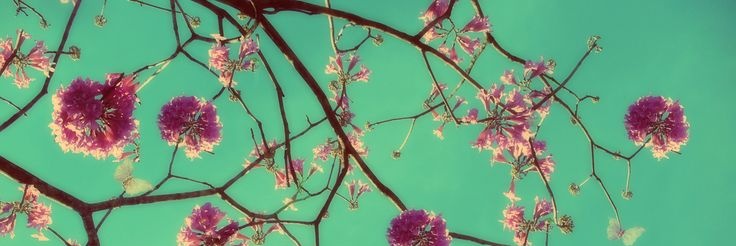 Im A Wynner For You 💗 banner