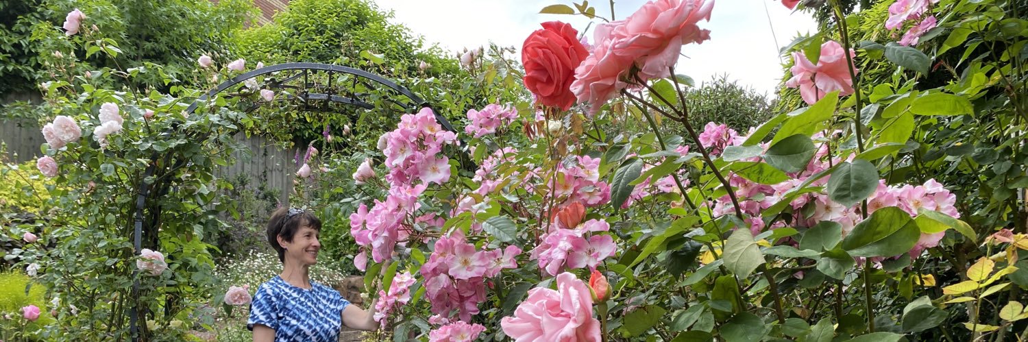 Isabel Churcher banner