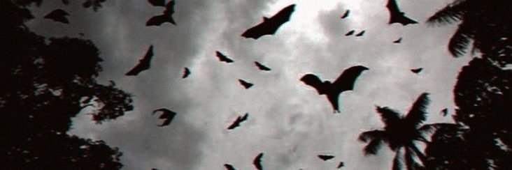 Morvena Vale || 🧛‍♀️🩸👹 banner
