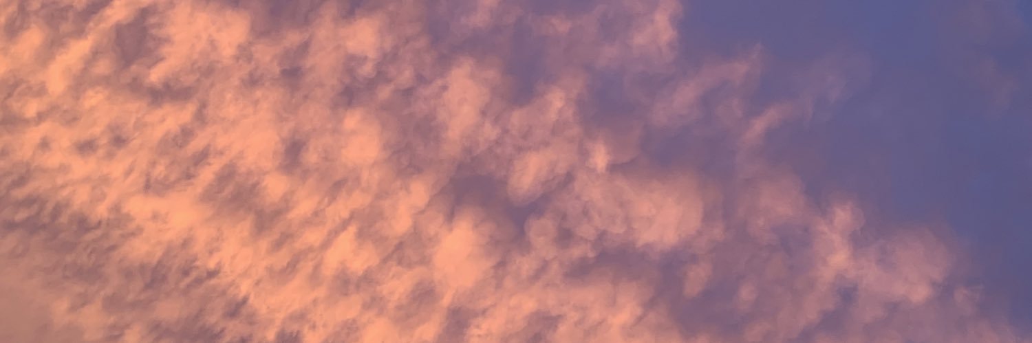 datzicas's profile banner image