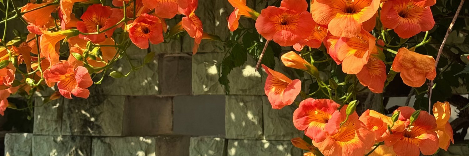 ov_x__0's profile banner image