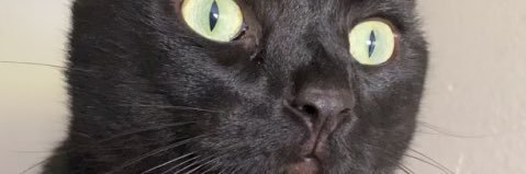 Faylynn_'s profile banner image
