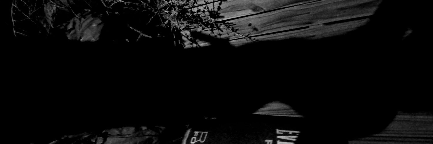 javier perez banner