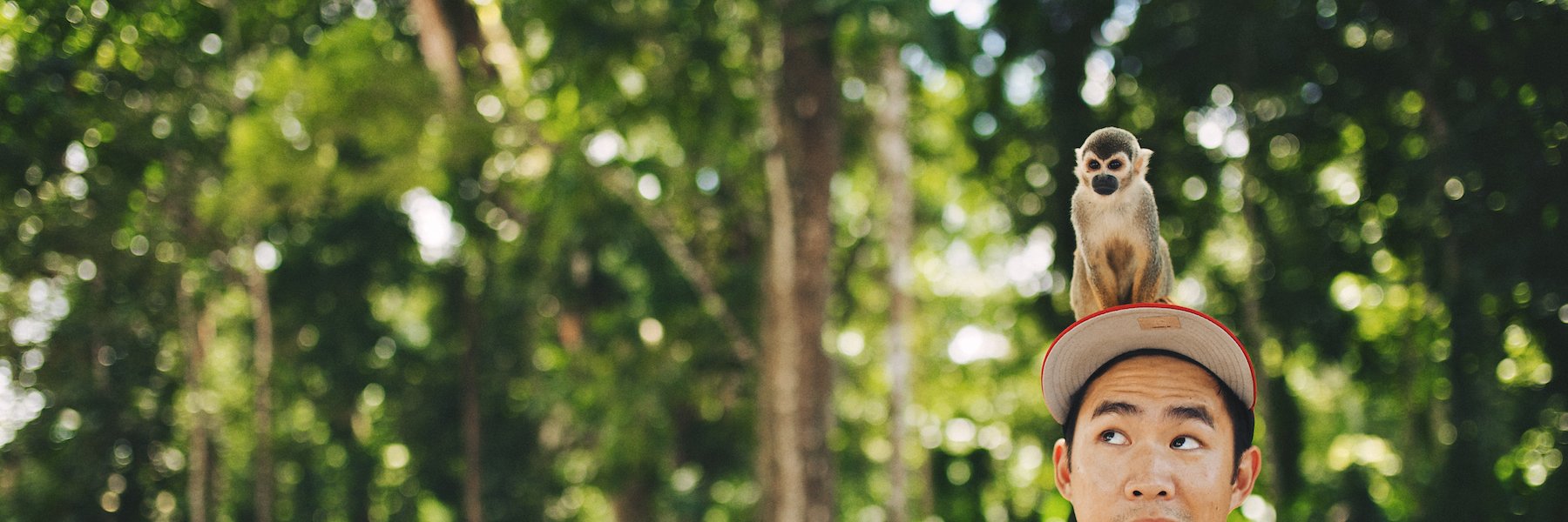 JeffChangPhotog's profile banner image