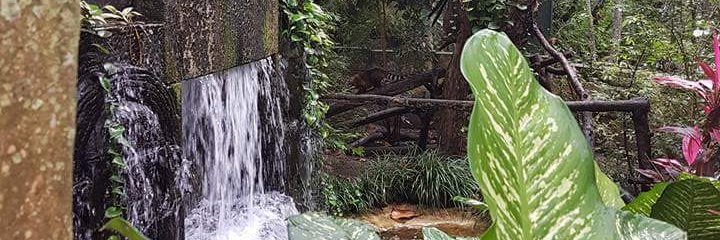River_Car_'s profile banner image