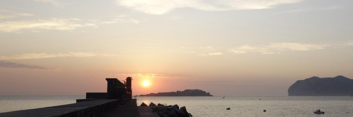 Unitxer Zenón banner