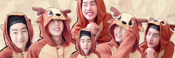 🐷🐷🐷 banner