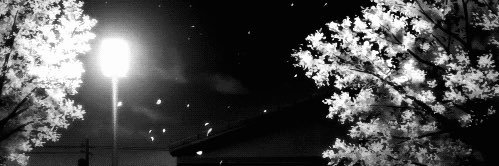 chy___y_'s profile banner image