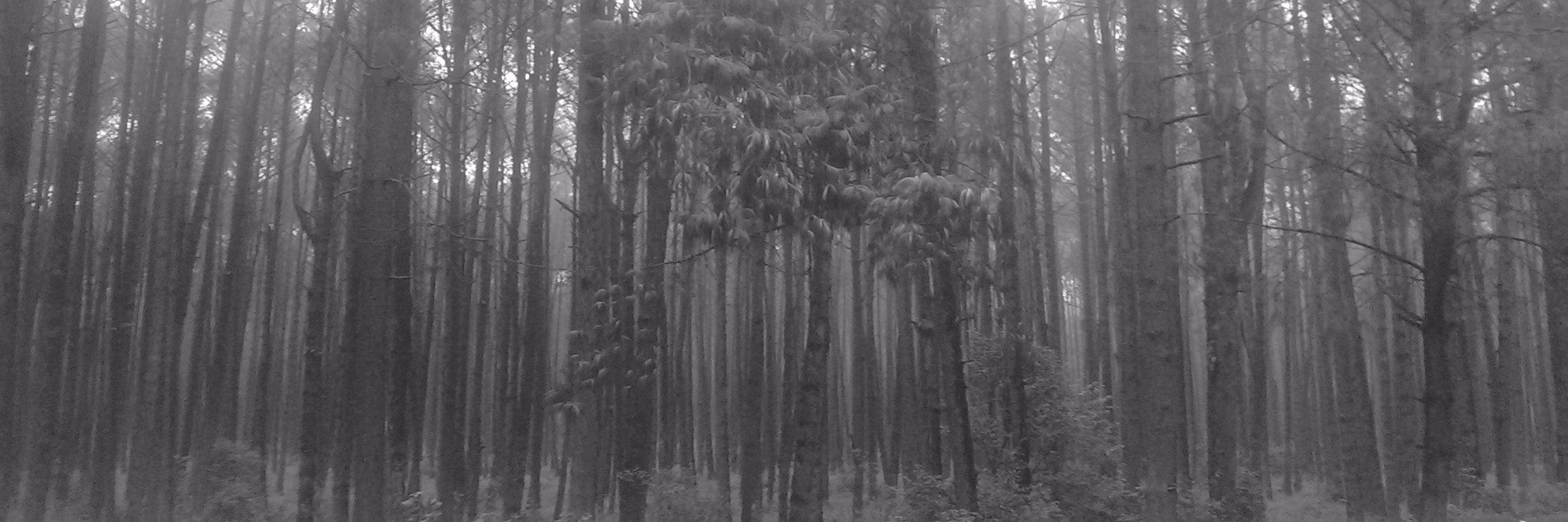 David_Ricardo4's profile banner image