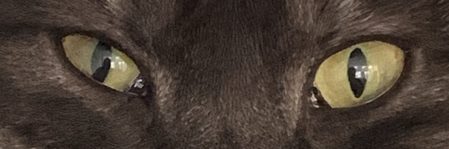 simonbarnes's profile banner image