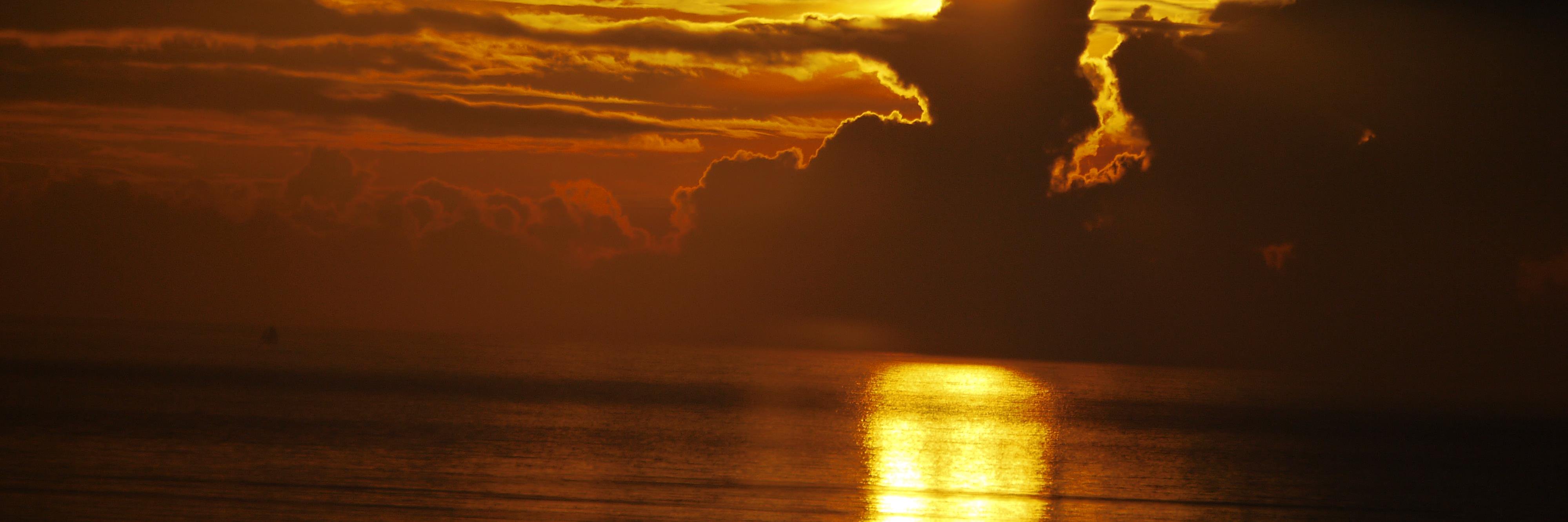 shell_000's profile banner image