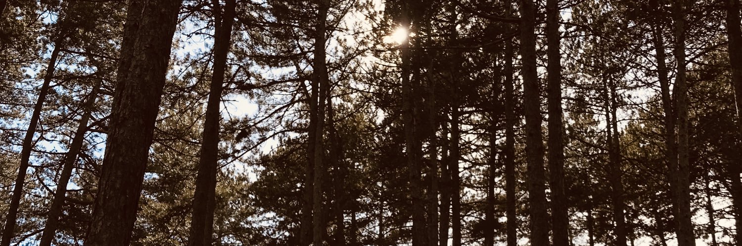 rocioyunes's profile banner image