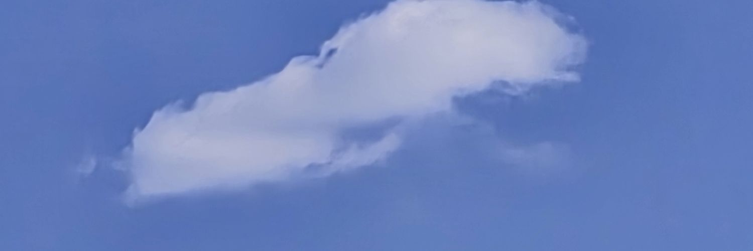 щитпостер всея руси vavass banner