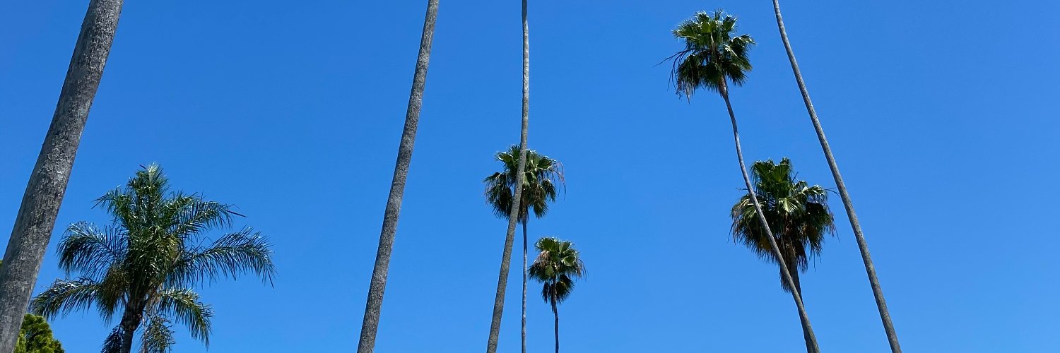 Mel_Grau's profile banner image