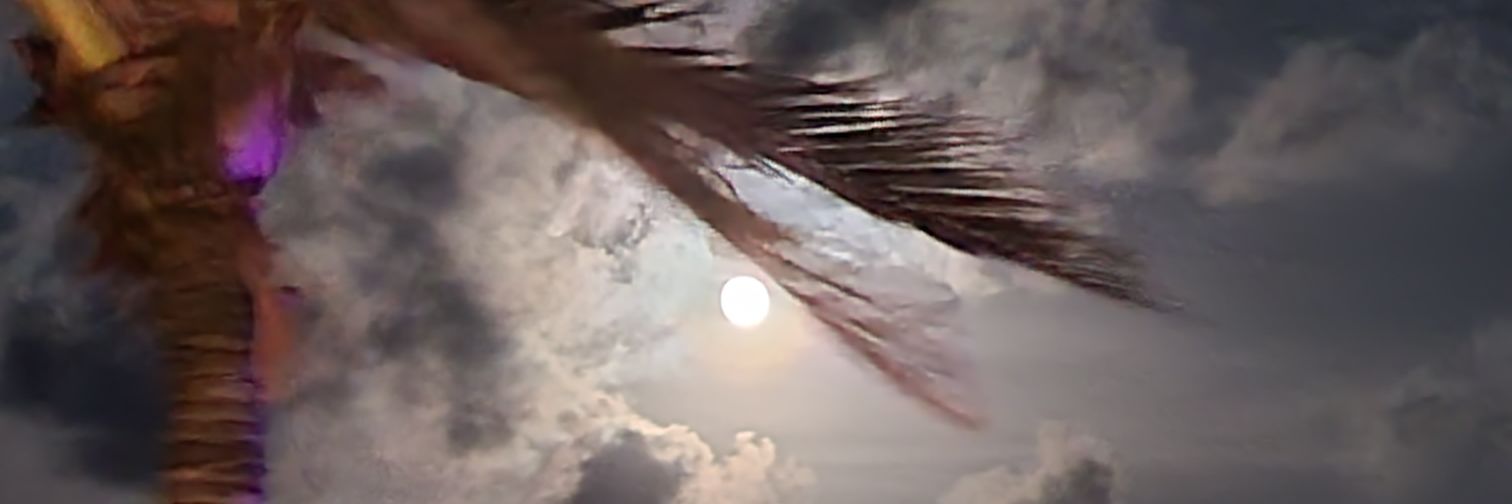 partytimeT's profile banner image