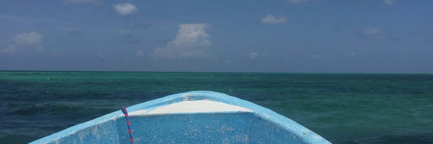 dentedileone's profile banner image
