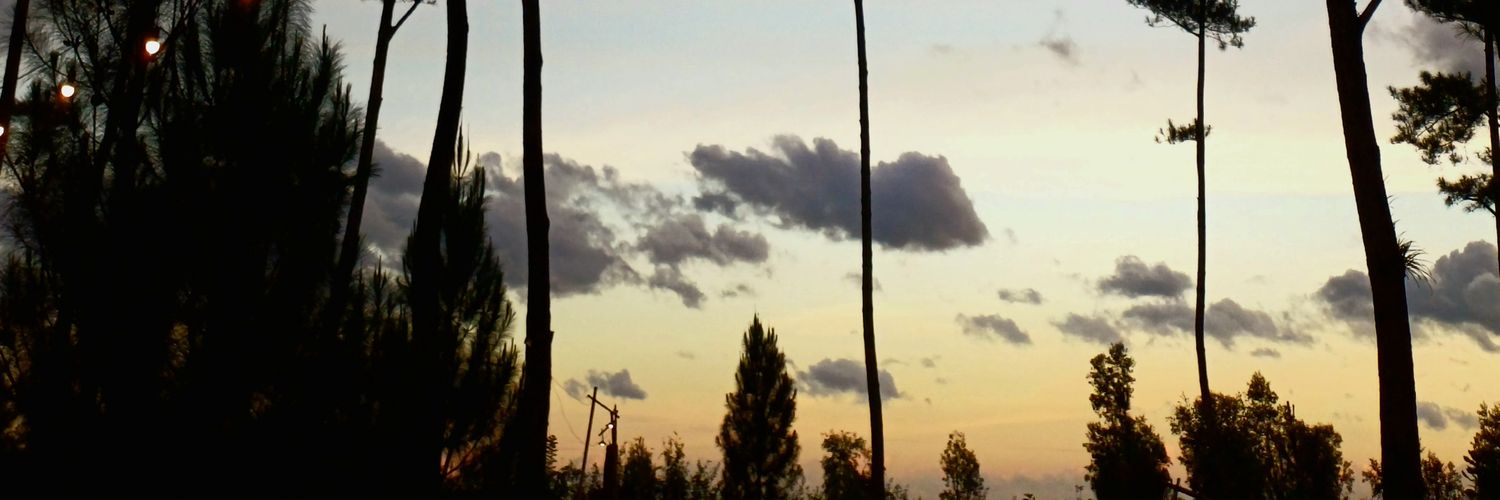 tii 🥨 banner