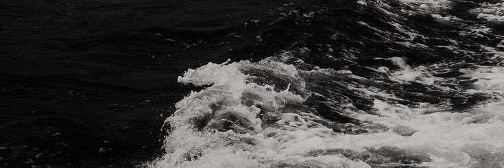 pinar banner