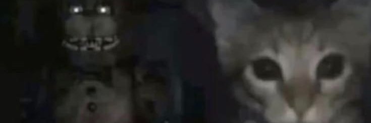 evywey's profile banner image