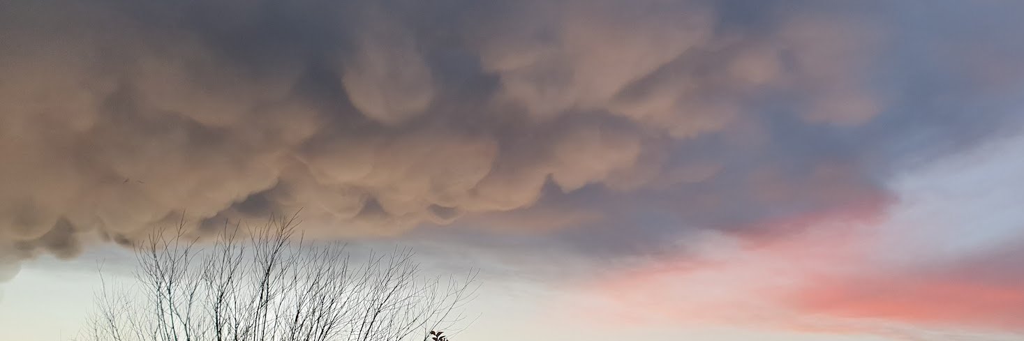 Pat Kingston MRSB MRSC CBiol banner