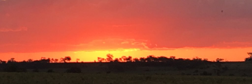 manusim71's profile banner image