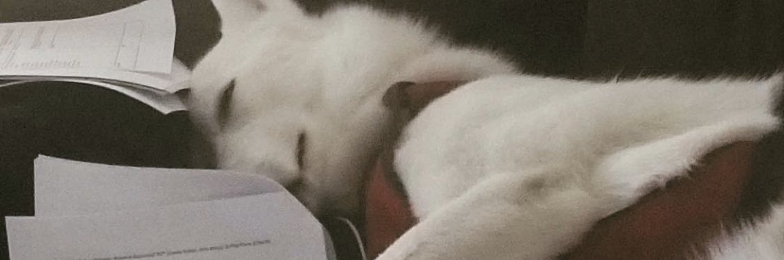 BrandyRivers8's profile banner image