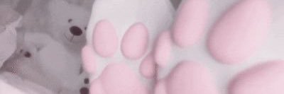🪽🐰🐾 banner