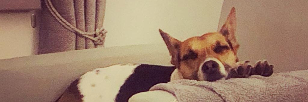 emmallaing's profile banner image