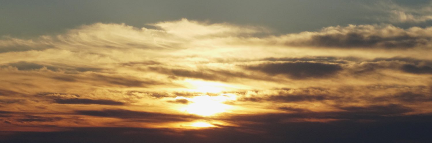 Eva Stratt banner