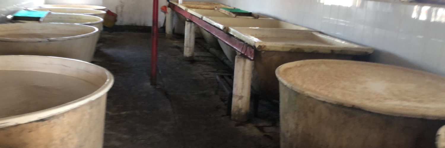 Josè Vàzquez banner