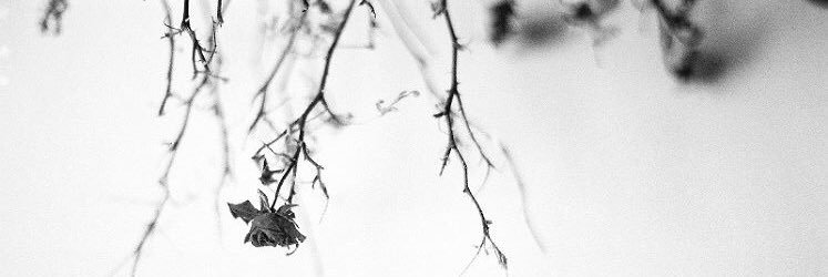 justjaclyn_'s profile banner image