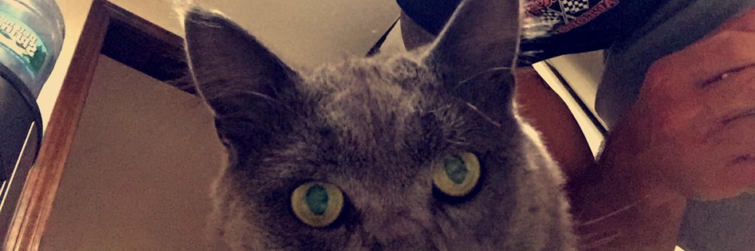 Mmm_att's profile banner image