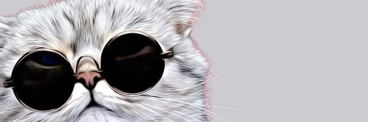 Audrey banner