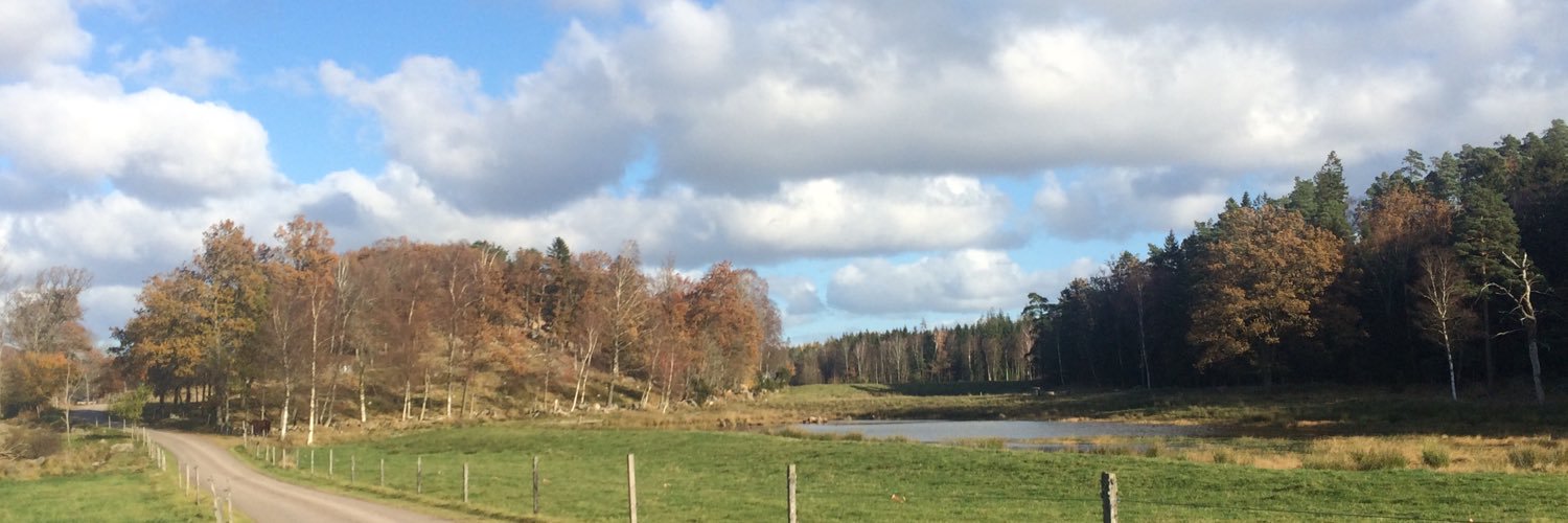 Gorkerina's profile banner image