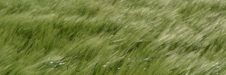 fadeintoq's profile banner image