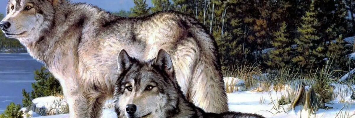 halim0755's profile banner image