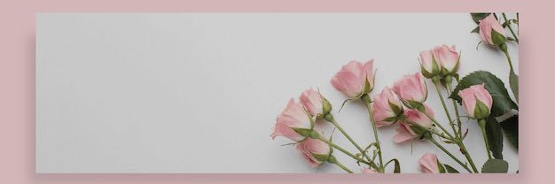 𝒹𝑒𝓎 — testi on bio ⋆.𐙚 ̊ banner