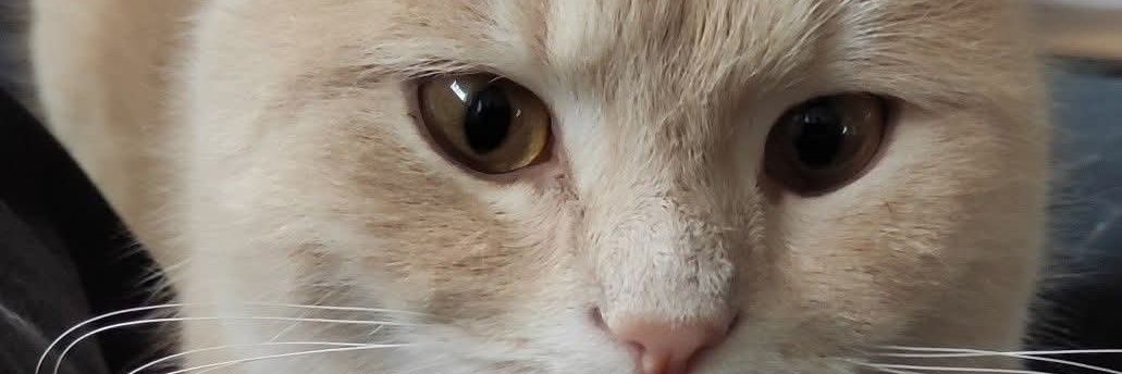 Perfecta armonía banner