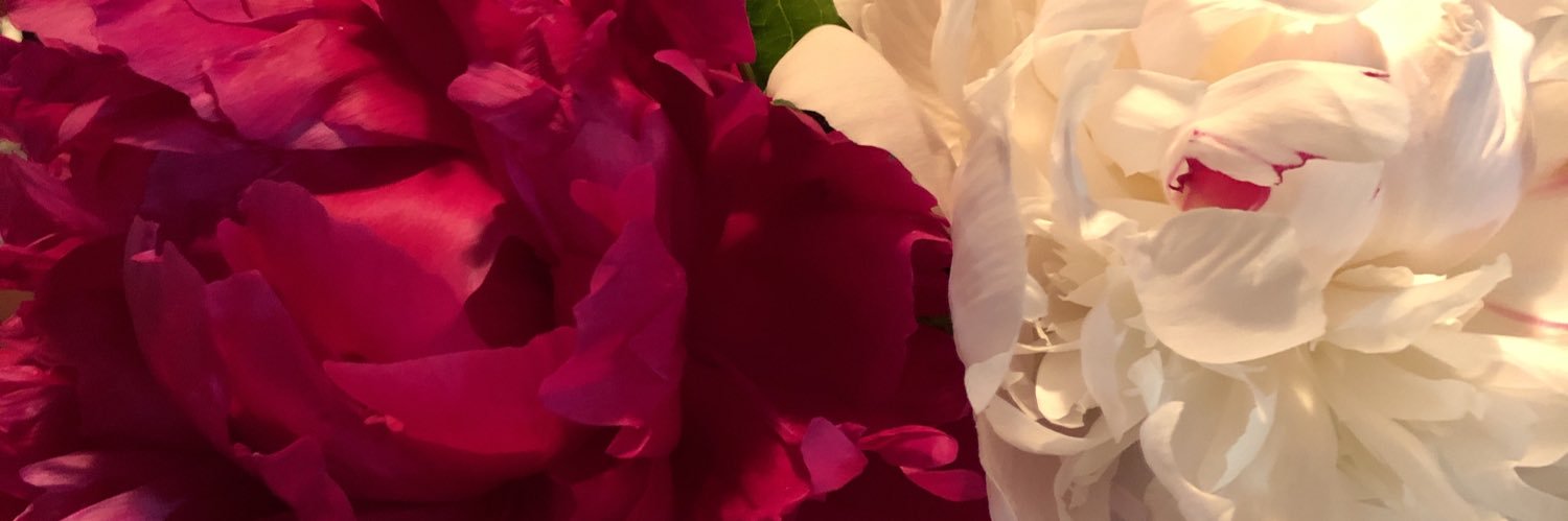 Lois Anderson banner