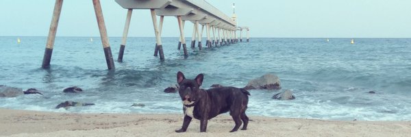 RafaDelacroix Profile Banner