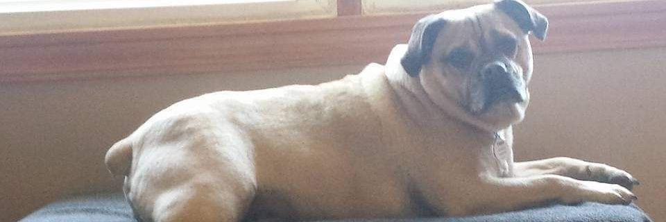 murph78521's profile banner image