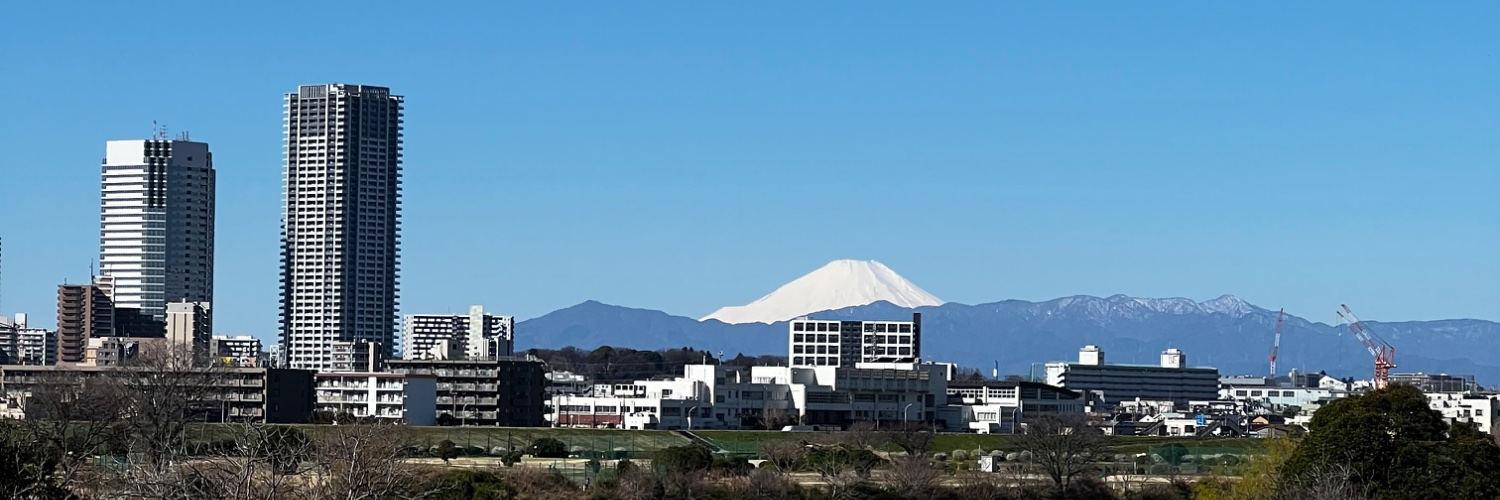 ヤムイモ banner