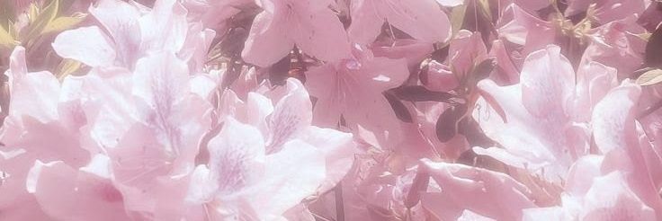 tomochi banner