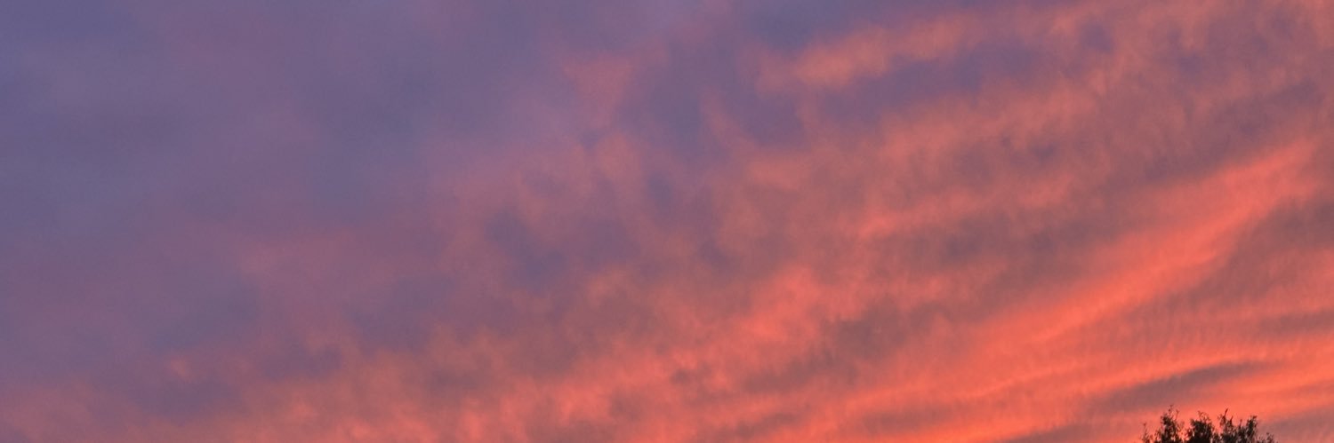 Indigo Brooks banner