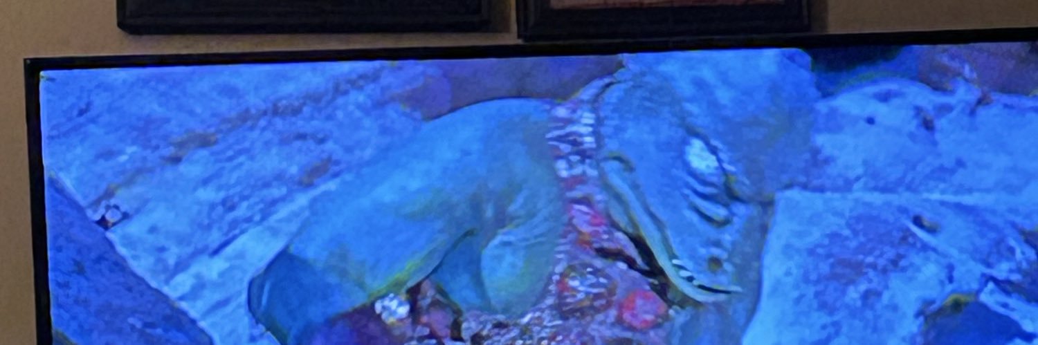 ryanz78's profile banner image