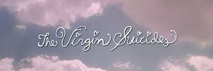 kitty ❤︎ banner
