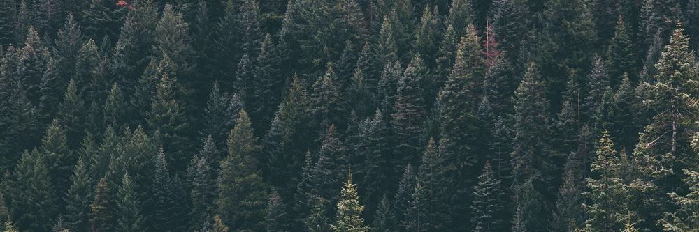 amandabaker_'s profile banner image