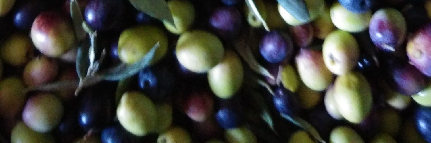caseres84's profile banner image